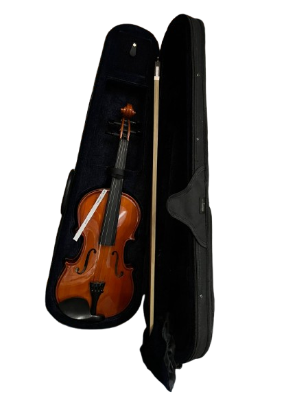 Violín acústico con estuche rígido y arco