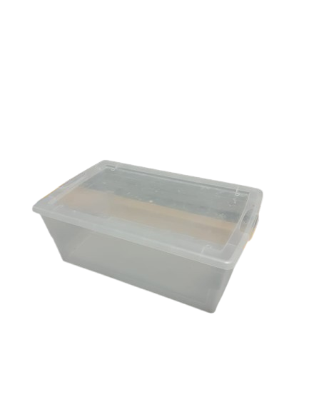 Caja Organizadora Plástica pequeña